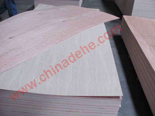Chinese ash plywood